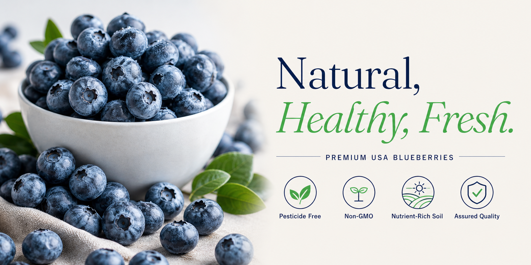 Natural, Healthy, Fresh Wahberry campaign featuring premium USA blueberries and key quality benefits